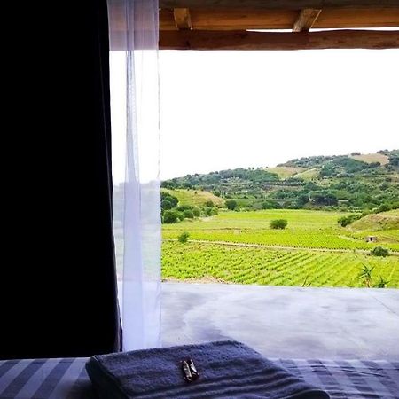 Les Cabanons De Meme Jeannette Bed and Breakfast Port Vendres Buitenkant foto